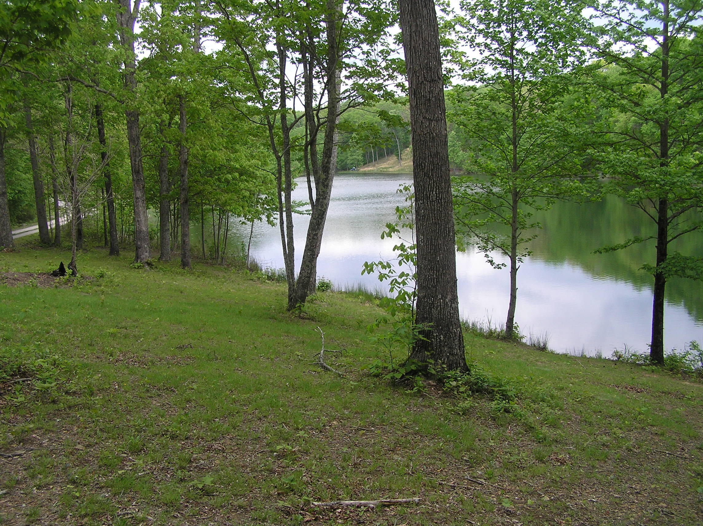 100 Valley View Drive Altamont, TN 37301 - Photo 11 of 13 Blueberry 010