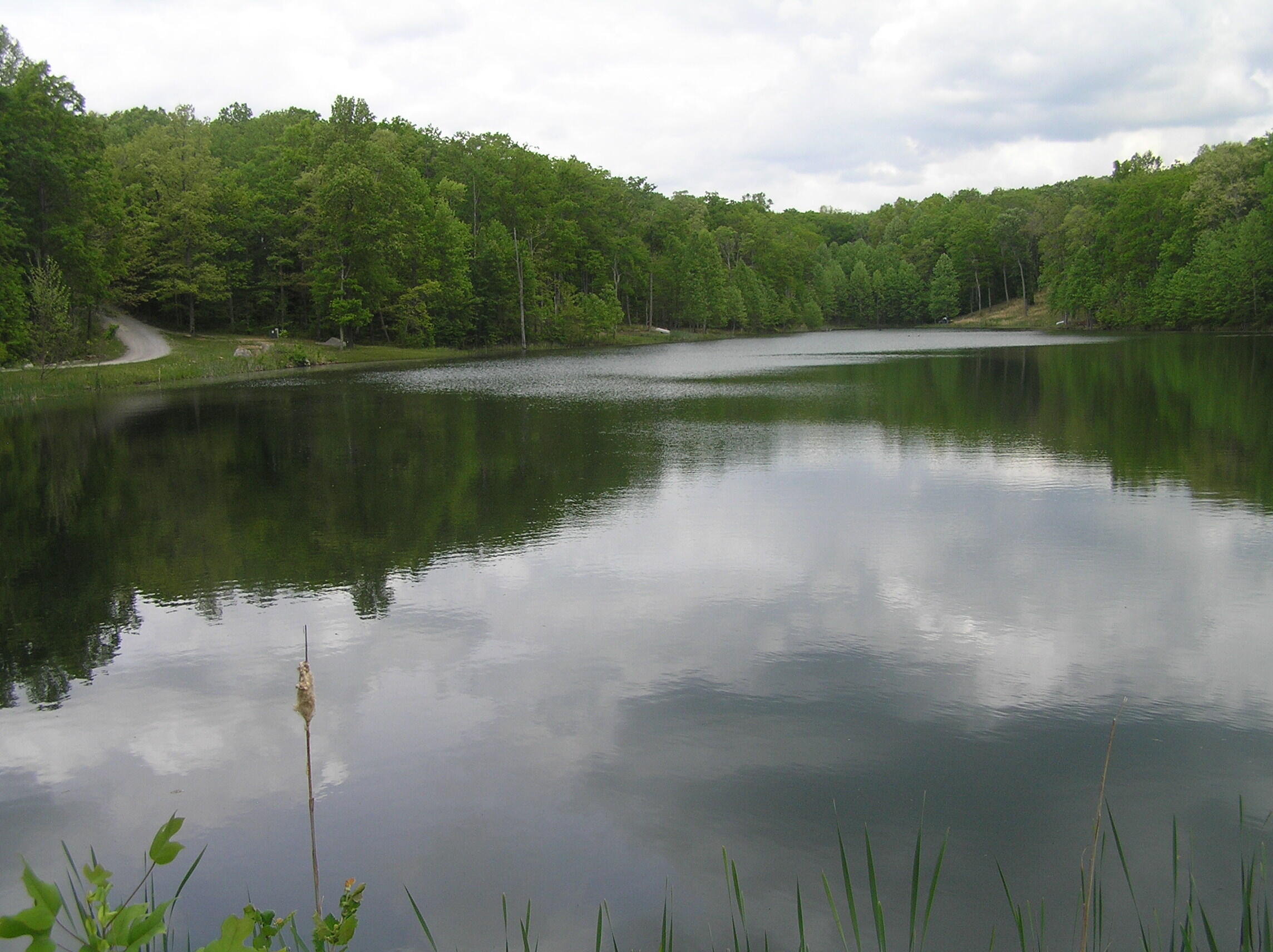 100 Valley View Drive Altamont, TN 37301 - Photo 12 of 13 Blueberry 012