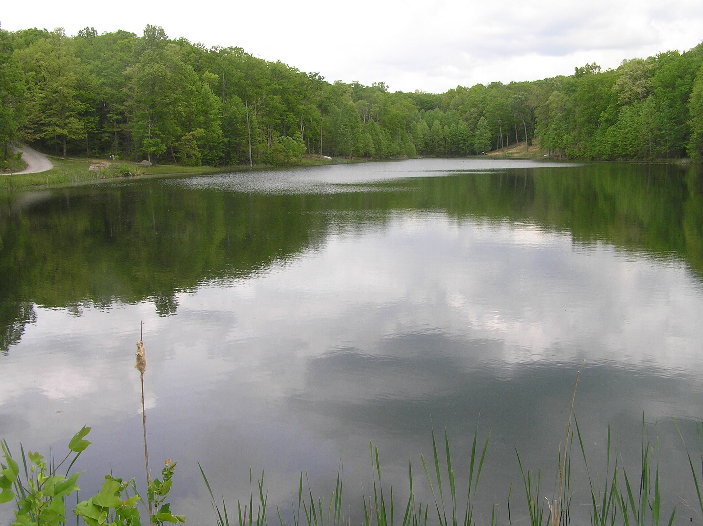 100 Valley View Drive Altamont, TN 37301 - Photo 13 of 13 Blueberry 013