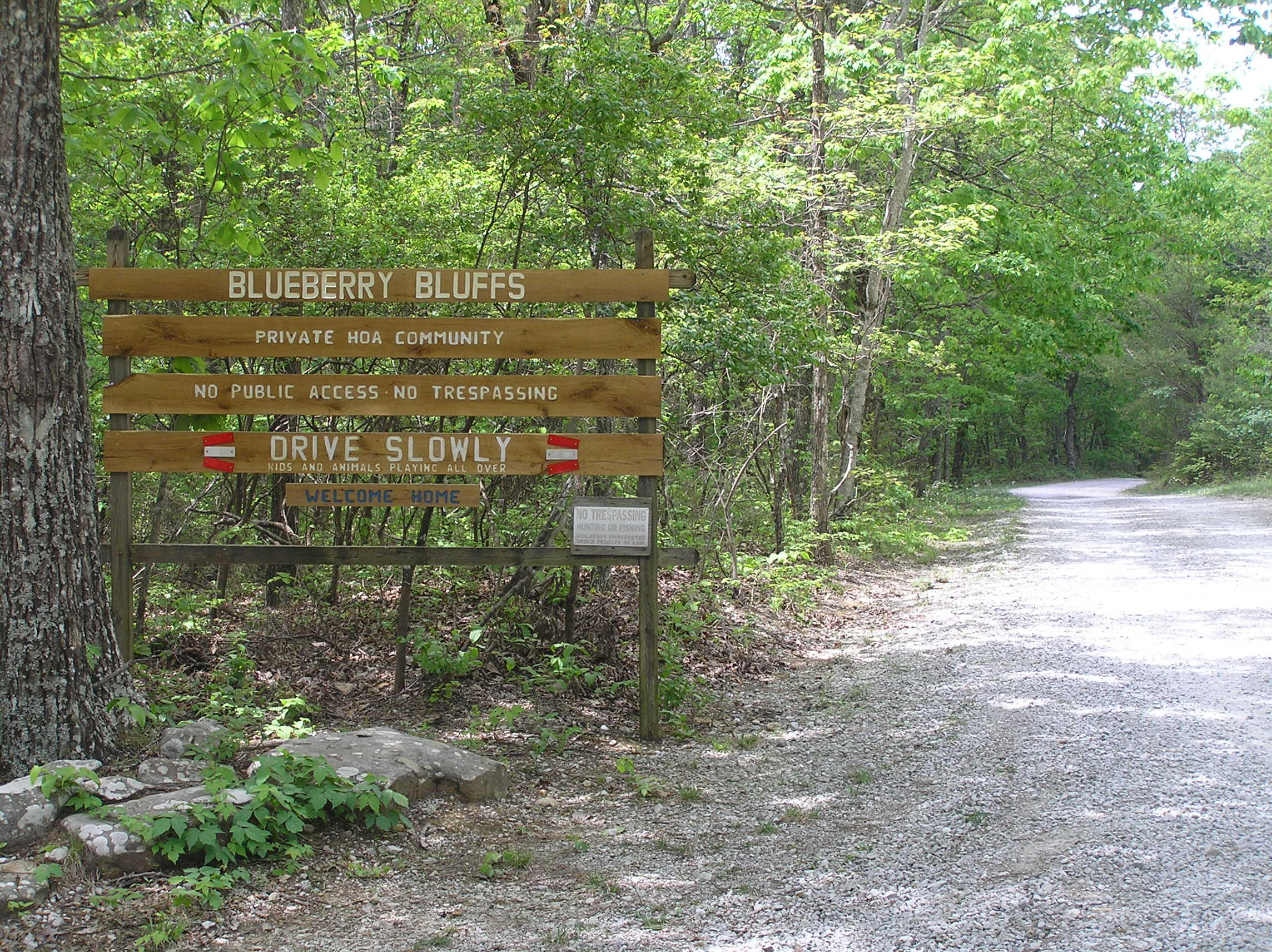 100 Valley View Drive Altamont, TN 37301 - Photo 2 of 13 Blueberry 003