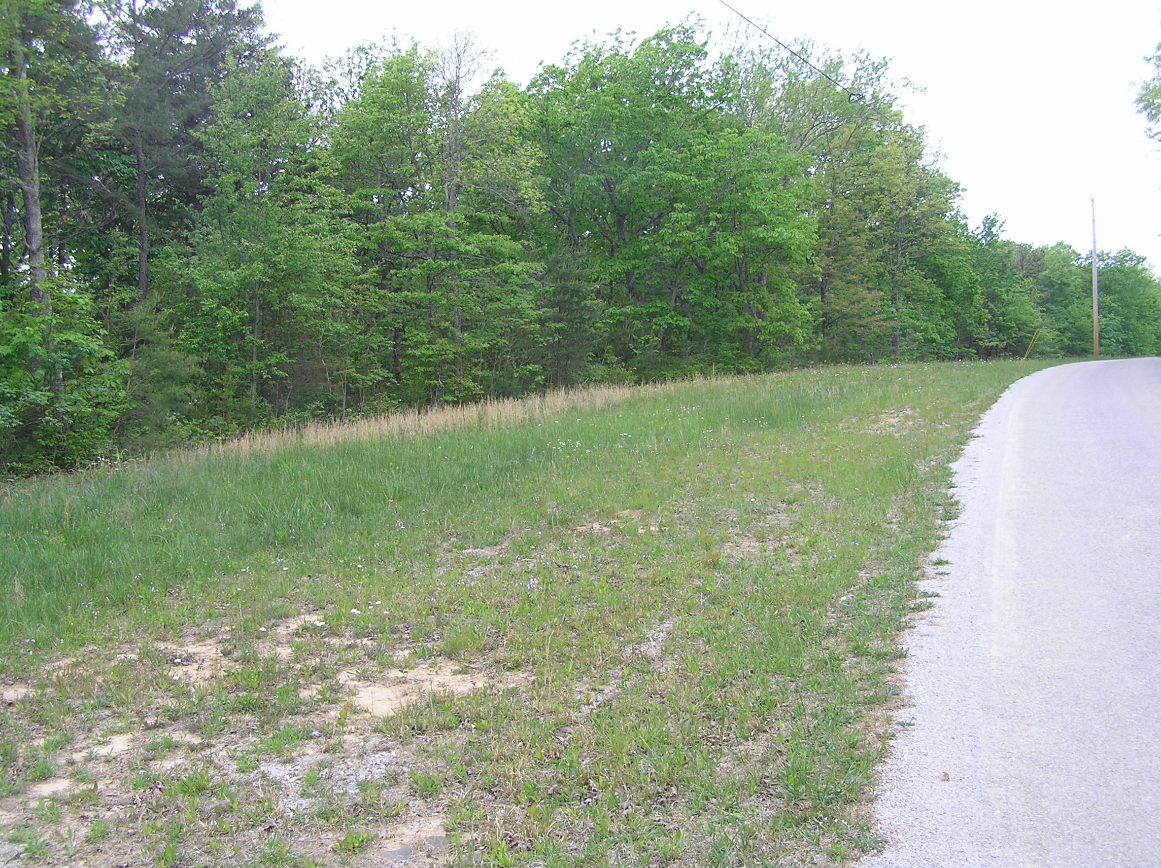 100 Valley View Drive Altamont, TN 37301 - Photo 3 of 13 Blueberry 001