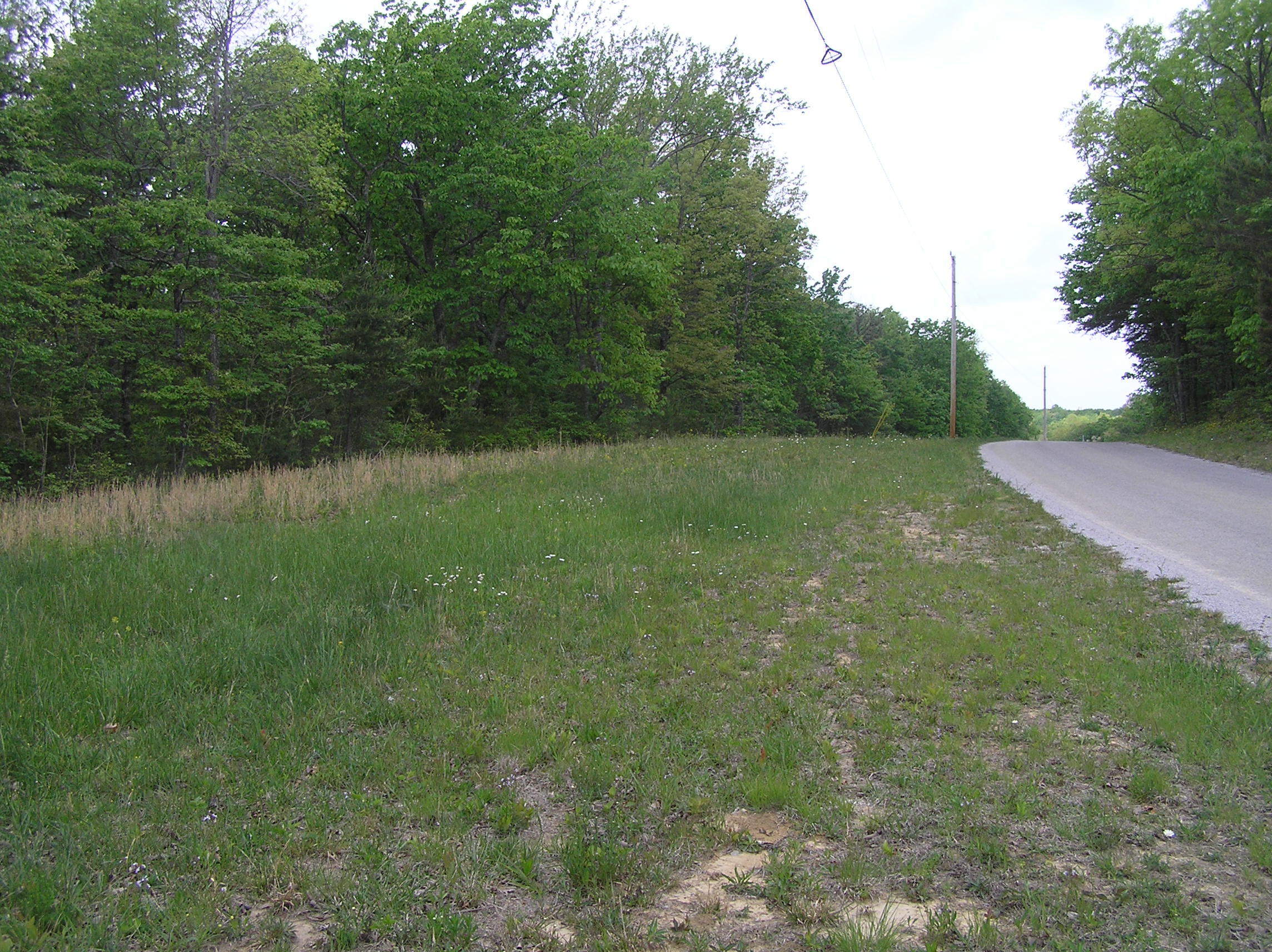 100 Valley View Drive Altamont, TN 37301 - Photo 4 of 13 Blueberry 002