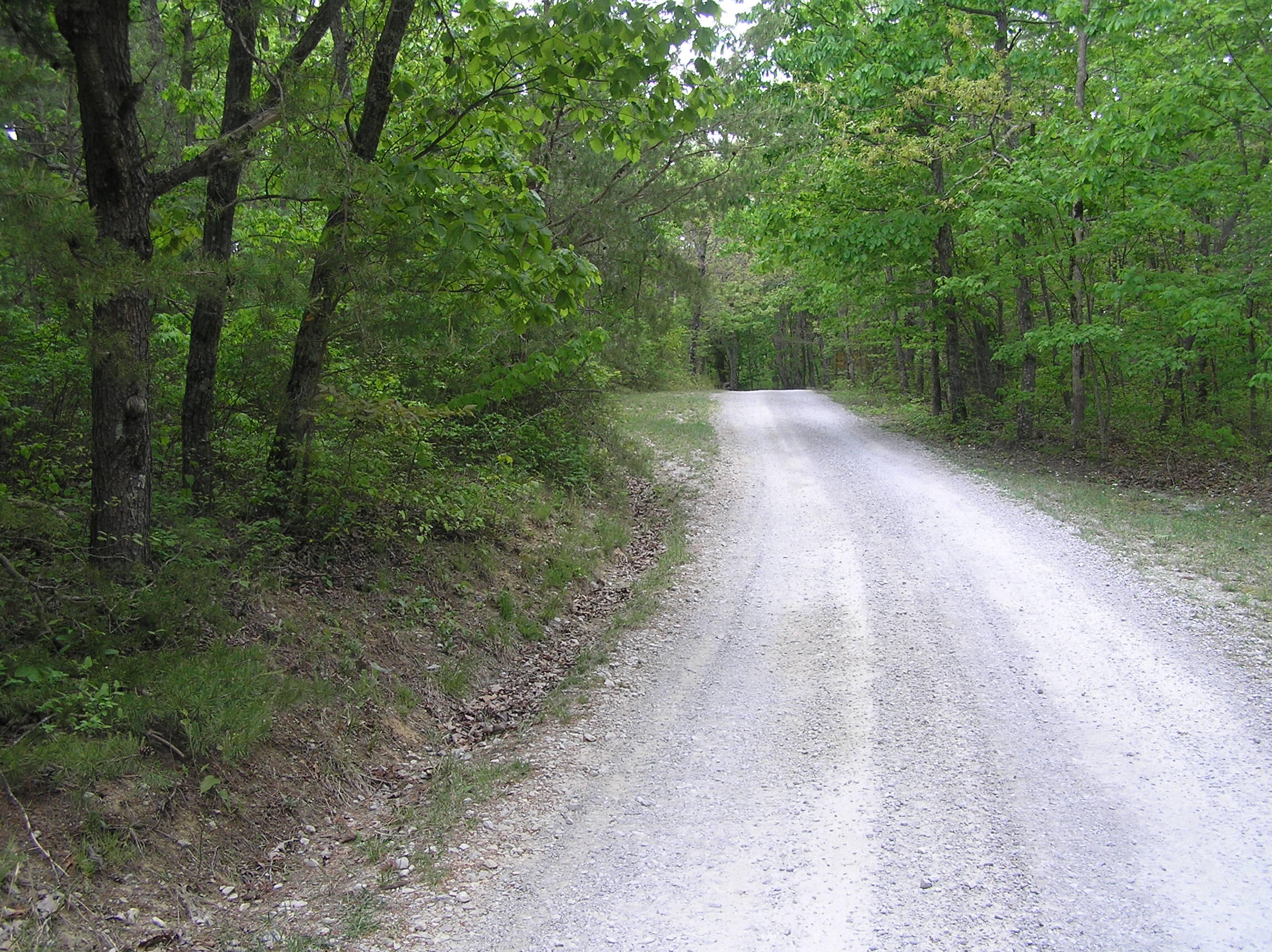 100 Valley View Drive Altamont, TN 37301 - Photo 7 of 13 Blueberry 006