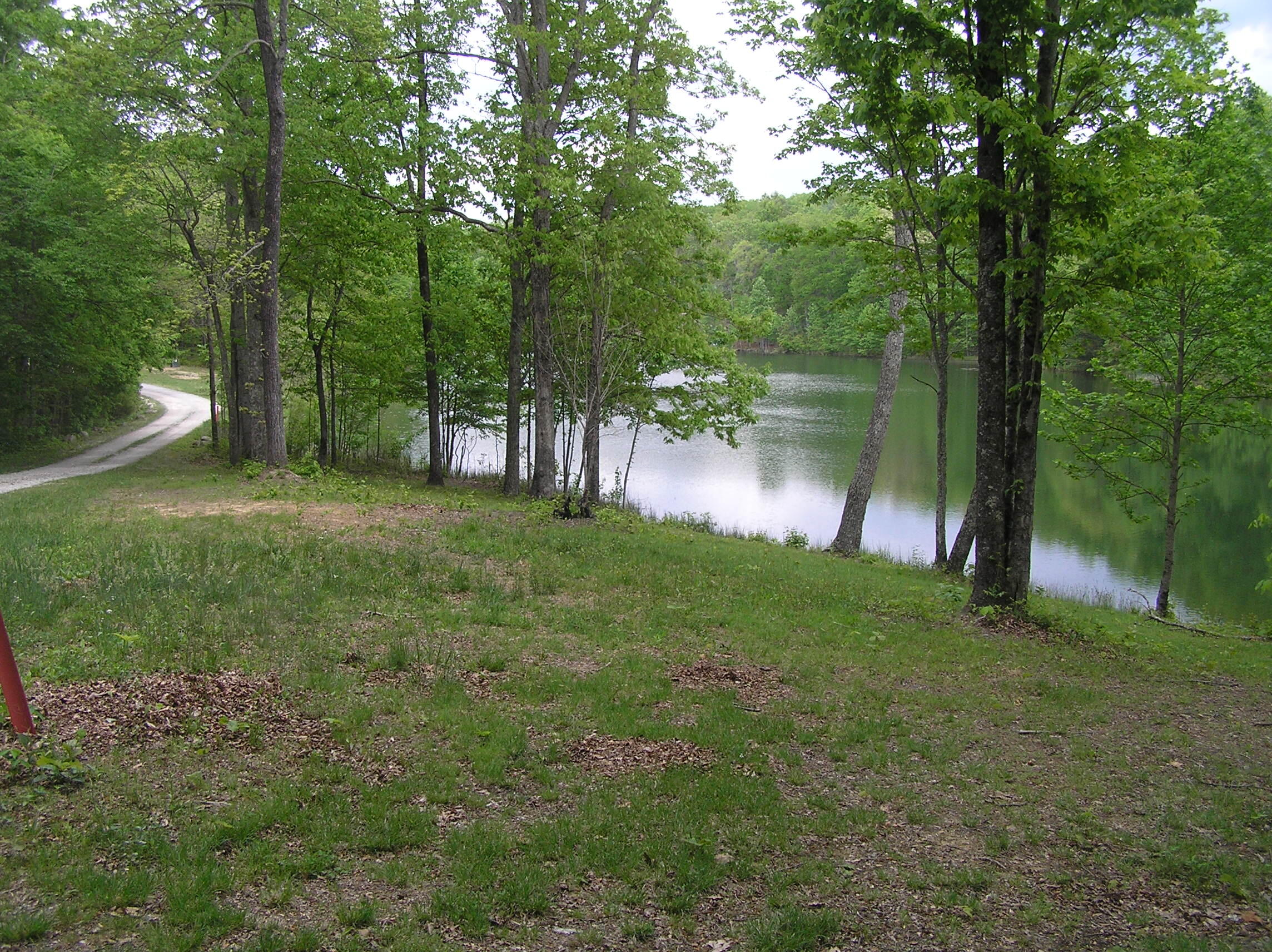100 Valley View Drive Altamont, TN 37301 - Photo 10 of 13 Blueberry 009