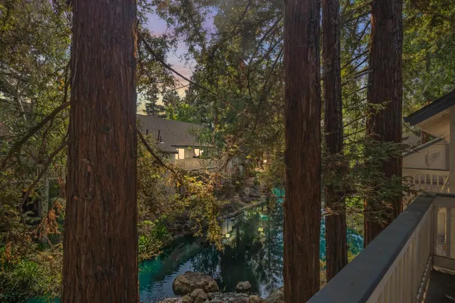 a view of a balcony with a tree