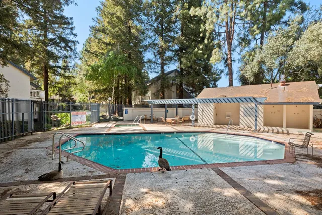 a view of a swimming pool with a patio