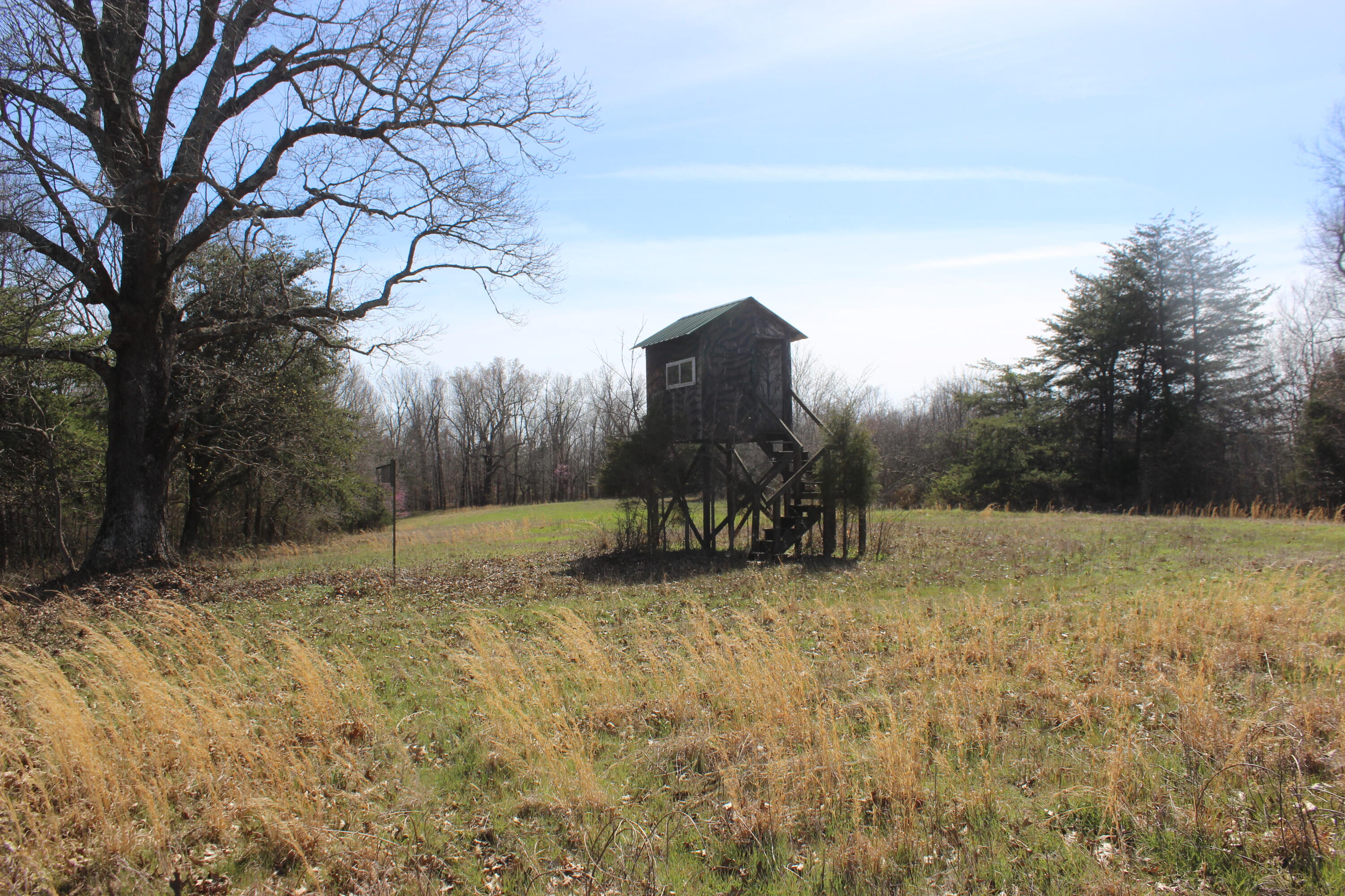 0 Edwards Road Princeton, KY 42445 - Photo 28 of 33 IMG_7667