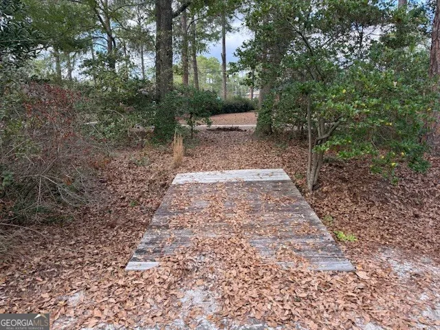 a view of a forest with trees