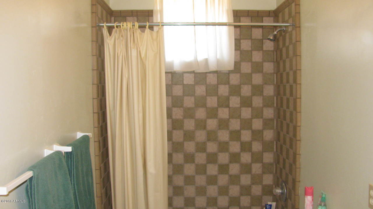 4126 North Colt Road Apache Junction, AZ 85119 - Photo 11 of 18 a bathroom with a shower and a sink