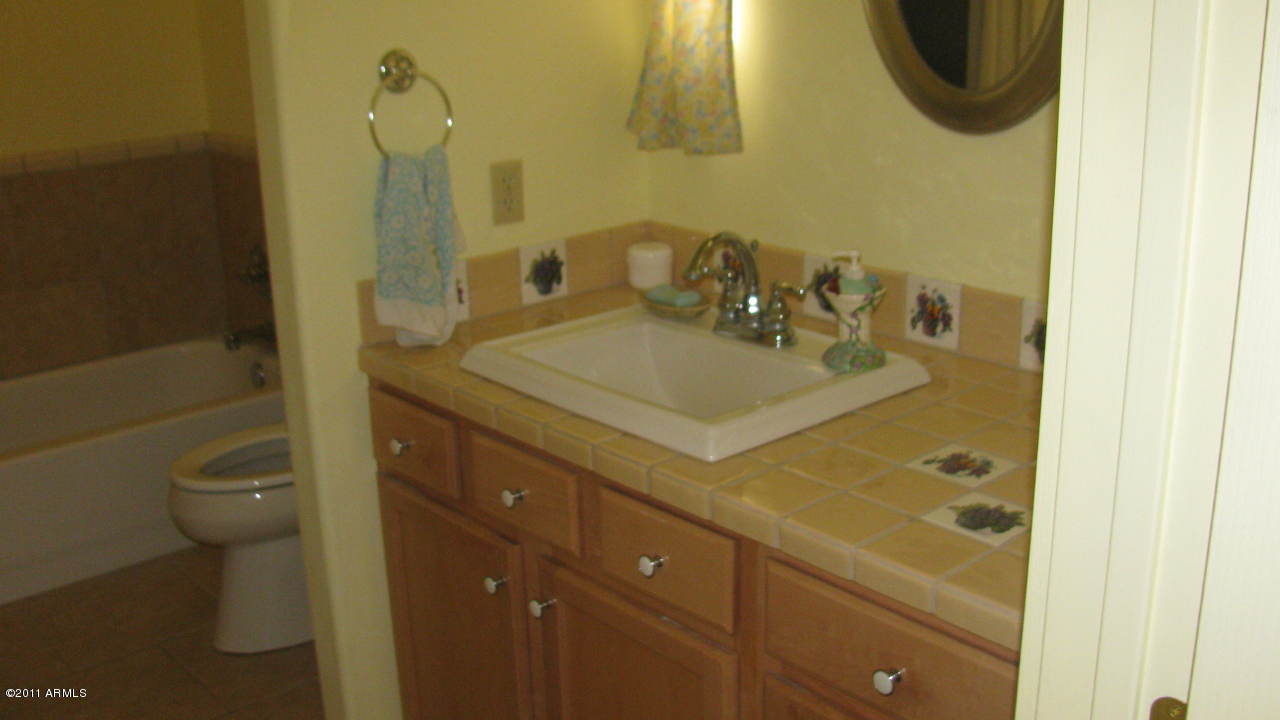 4126 North Colt Road Apache Junction, AZ 85119 - Photo 12 of 18 a bathroom with a sink a toilet and shower