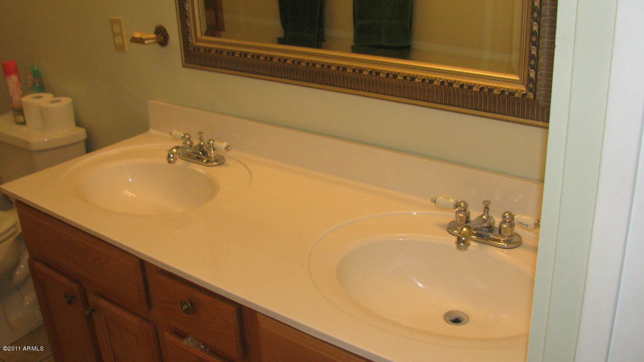4126 North Colt Road Apache Junction, AZ 85119 - Photo 10 of 18 a bathroom with a sink and a shower