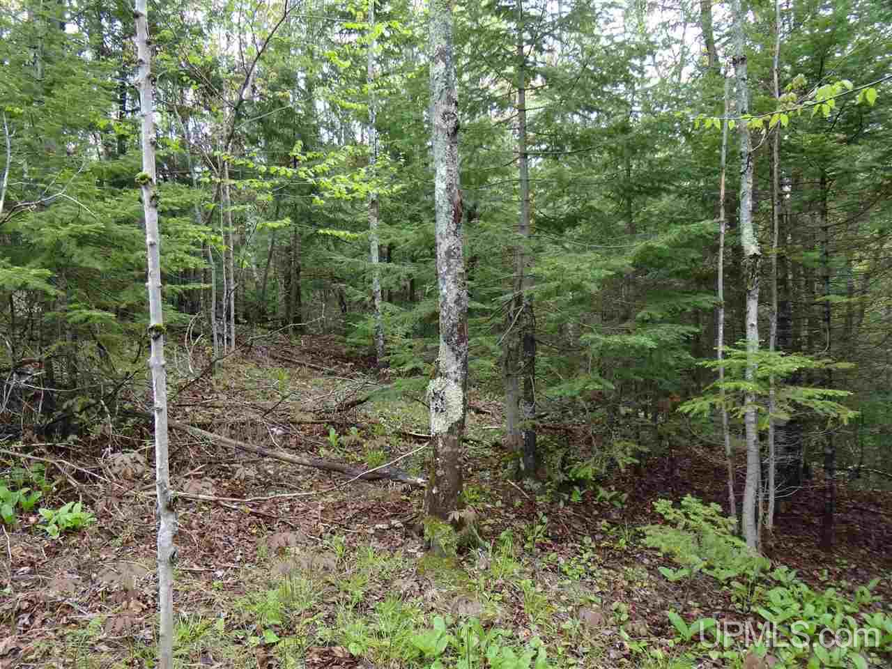 Tbd Freda Road Houghton, MI 49931 - Photo 3 of 15