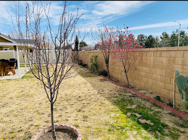 4214 Saddleback Road Palmdale, CA 93552 - Photo 25 of 25 IMG_2566
