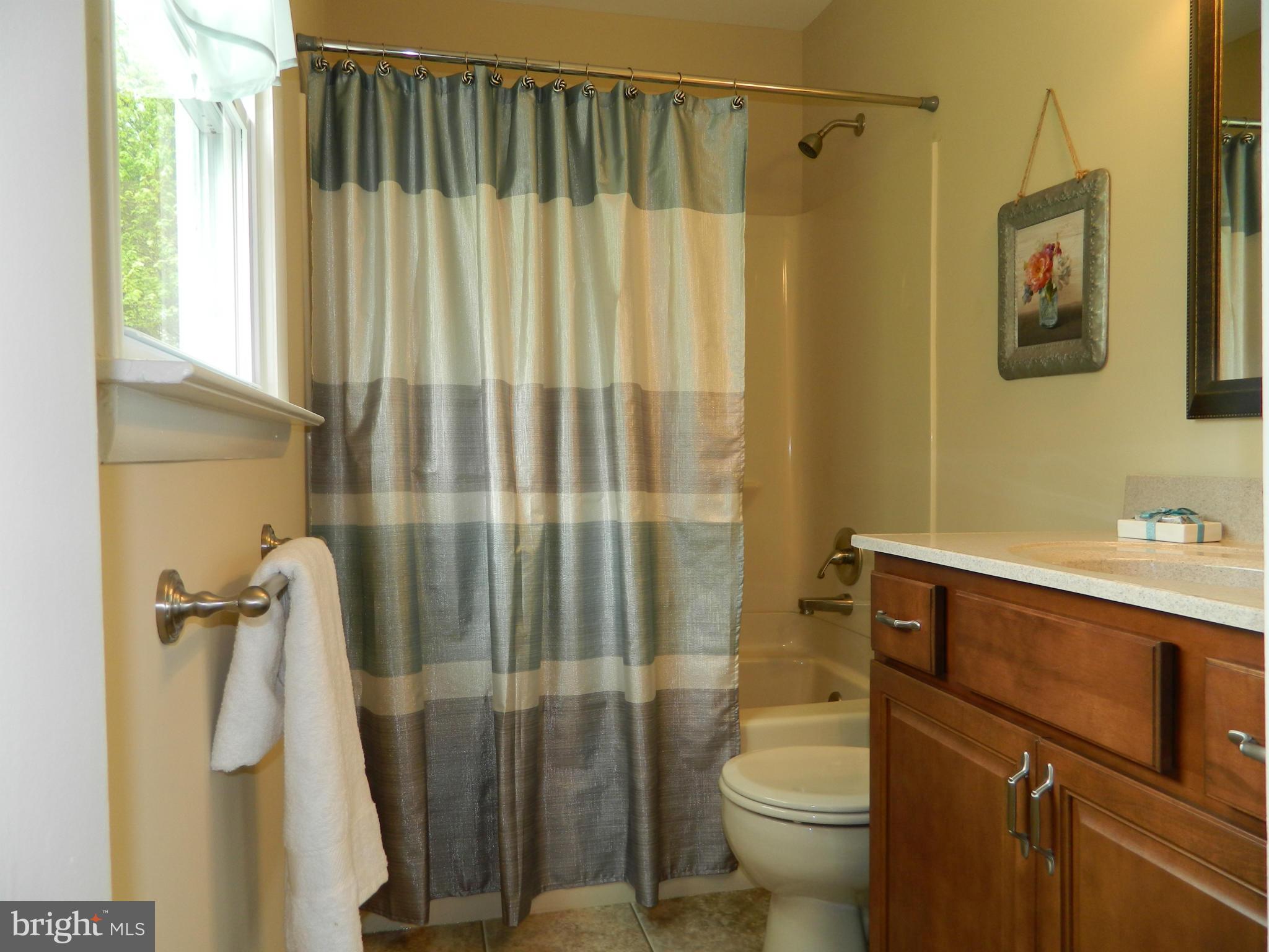 18324 Upper Beckleysville Road Hampstead, MD 21074 - Photo 22 of 30 Bath (Master)