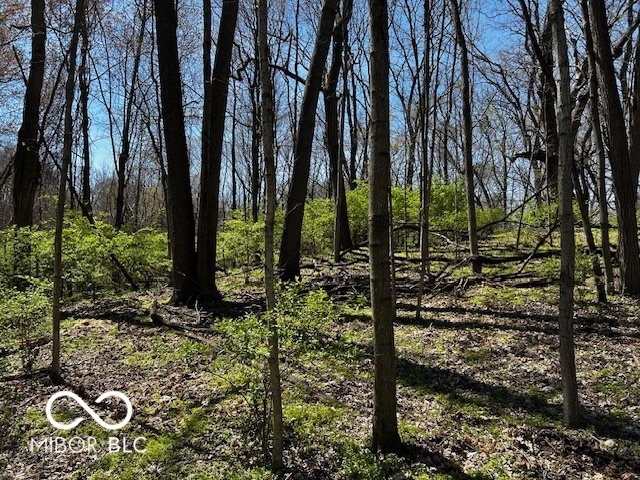 0 Washington Street Burlington, IN 46915 - Photo 2 of 6