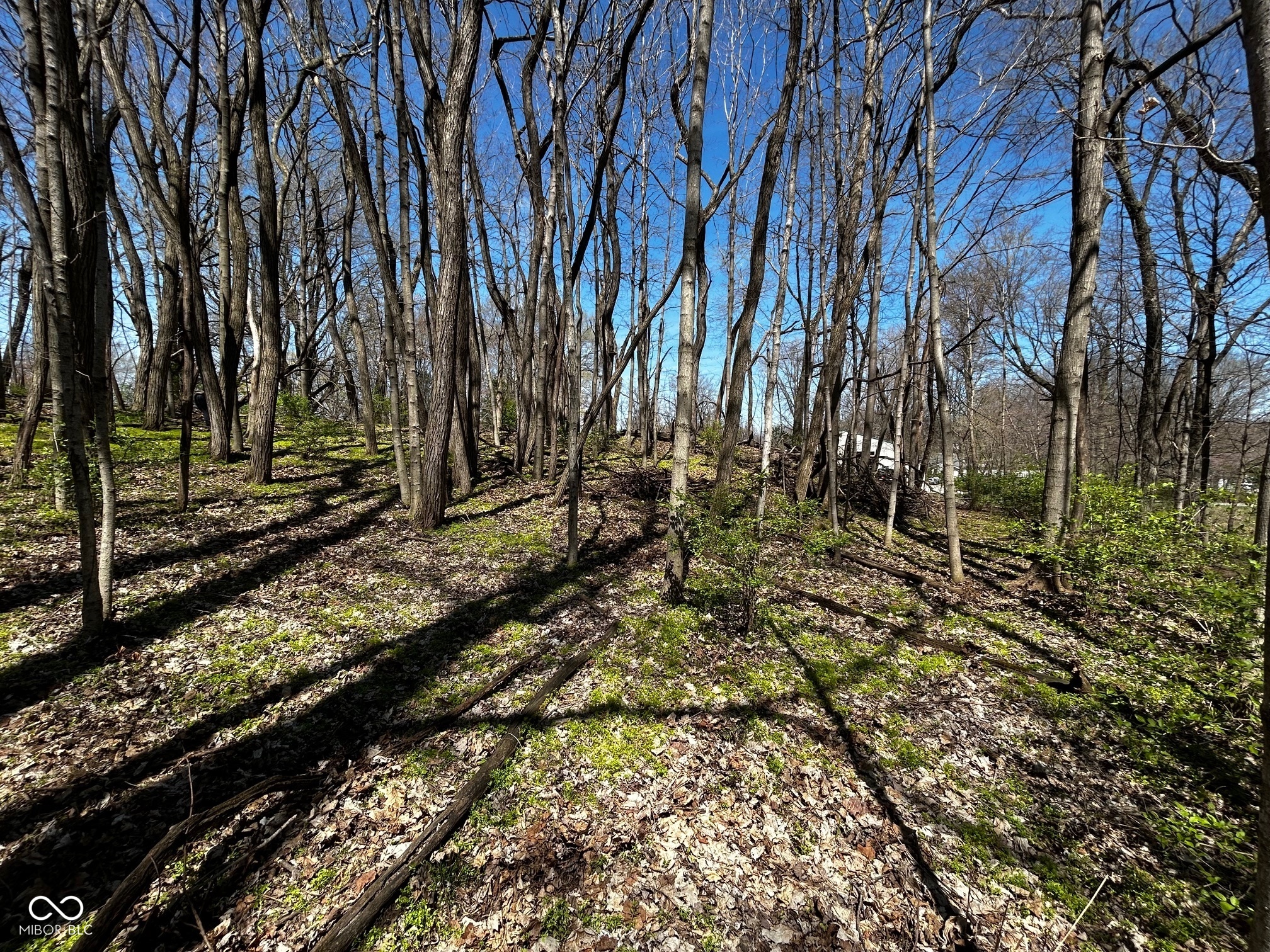 0 Washington Street Burlington, IN 46915 - Photo 3 of 6