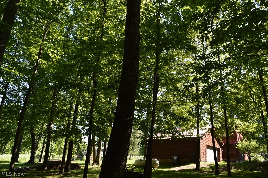 205 Stratton Lane Flushing, OH 43977 - Photo 19 of 22