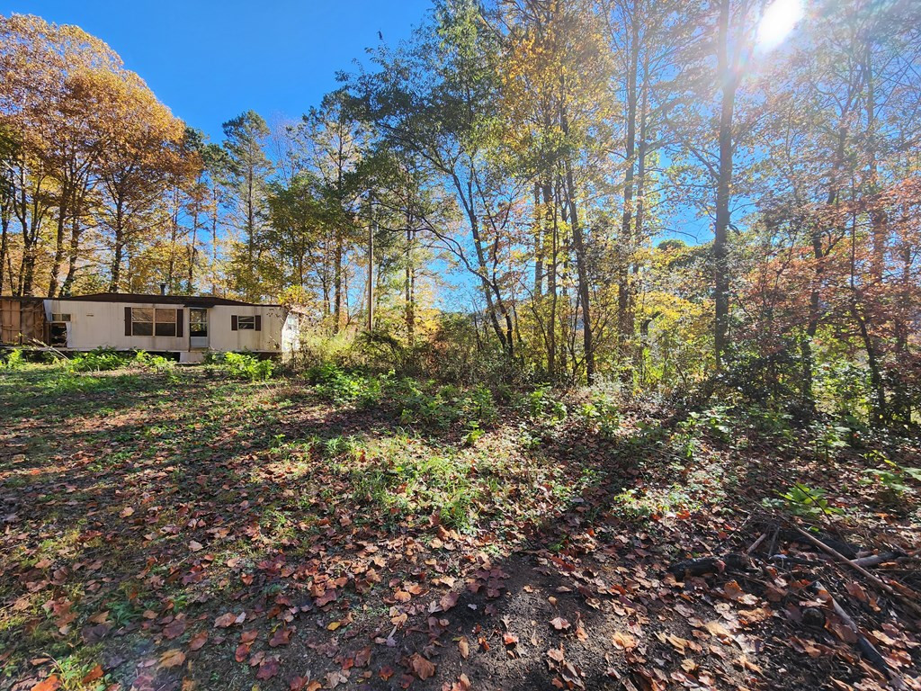 1341 Maltby Road Marble, NC 28905 - Photo 3 of 13