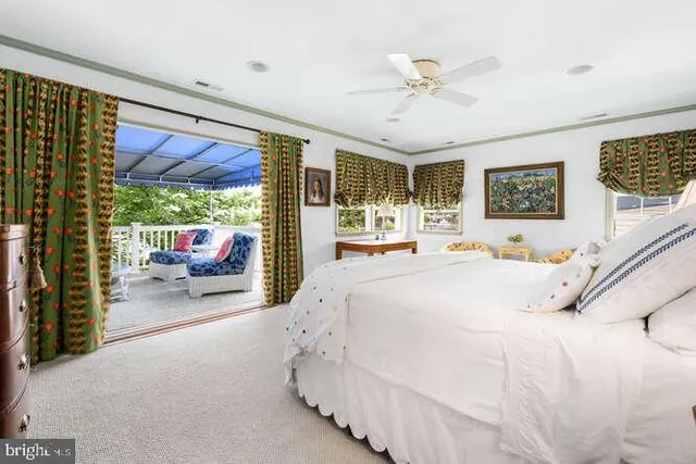 a living room with furniture a rug potted plant and a large window