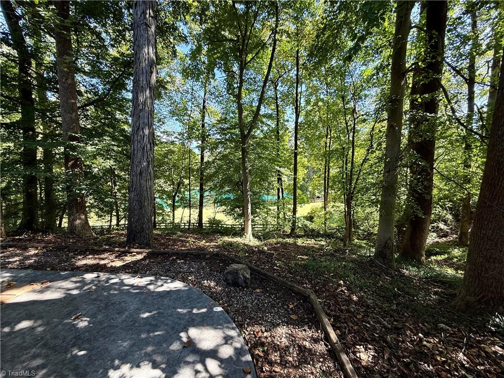 7352 Oak Bucket Road Thomasville, NC 27360 - Photo 35 of 38 View of the neighbor's pond and horse pastures.