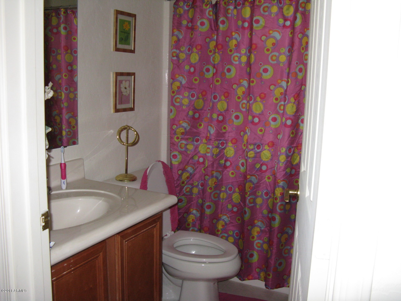 3545 East Crescent Way Gilbert, AZ 85298 - Photo 12 of 18 Guest Bathroom