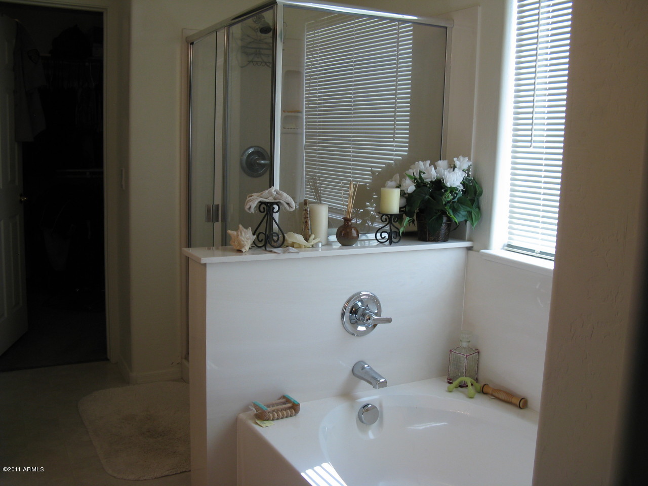 3545 East Crescent Way Gilbert, AZ 85298 - Photo 14 of 18 Master Bath with Separate Shower