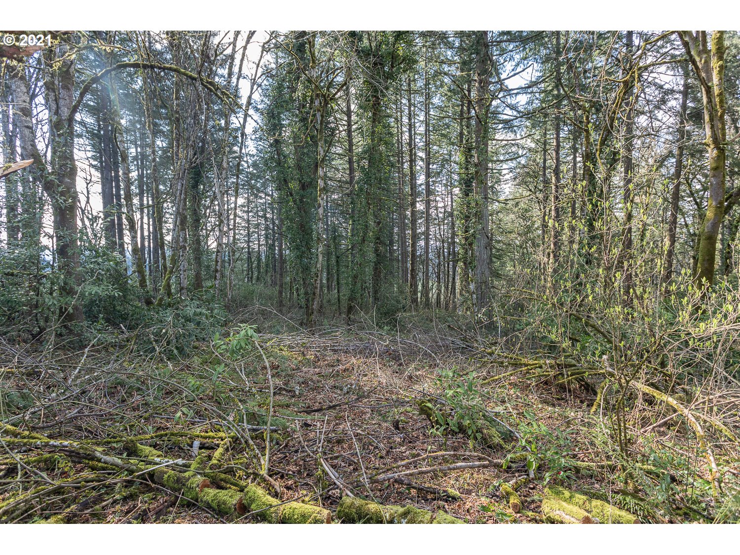 20383 Fernview Road West Linn, OR 97068 - Photo 29 of 32 Gallery Image 29