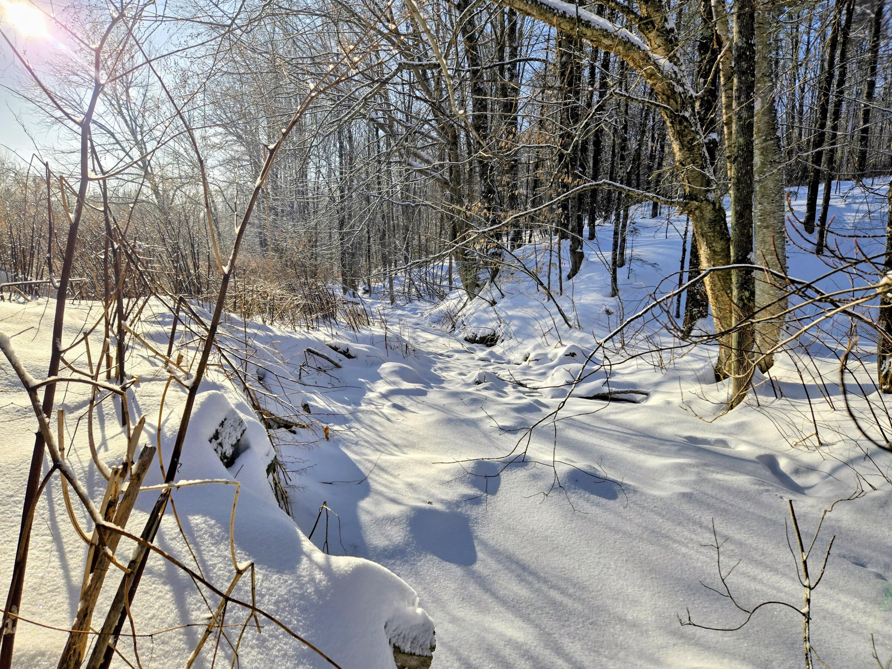 45 Ross Avenue Phillips, ME 04966 - Photo 8 of 25 45 Ross Avenue