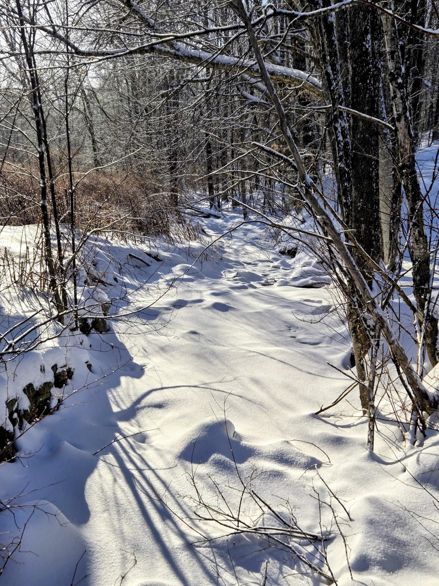 45 Ross Avenue Phillips, ME 04966 - Photo 9 of 25 45 Ross Avenue