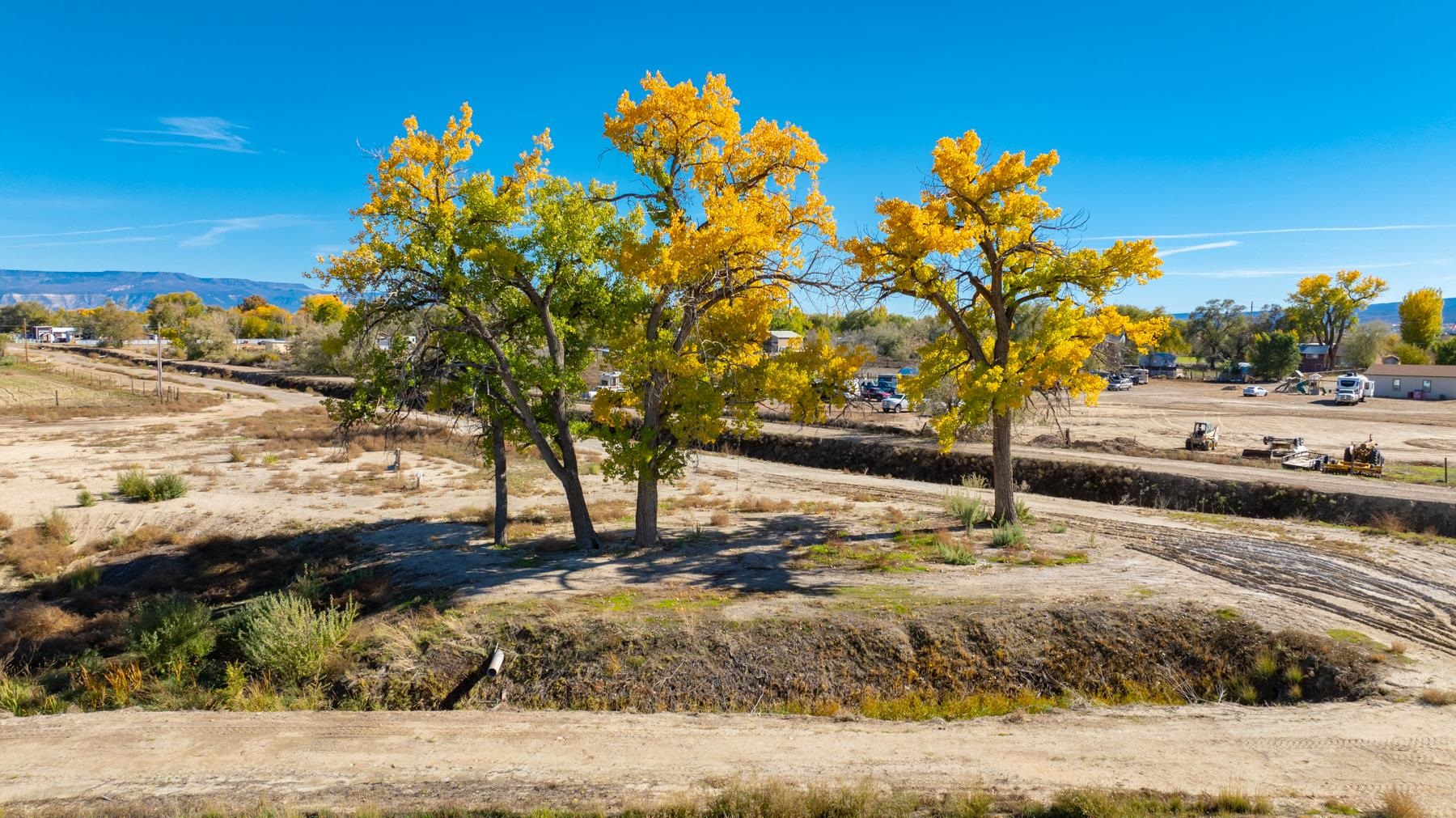 811 24 Road Grand Junction, CO 81505 - Photo 12 of 17 a view of a yard with wooden fence