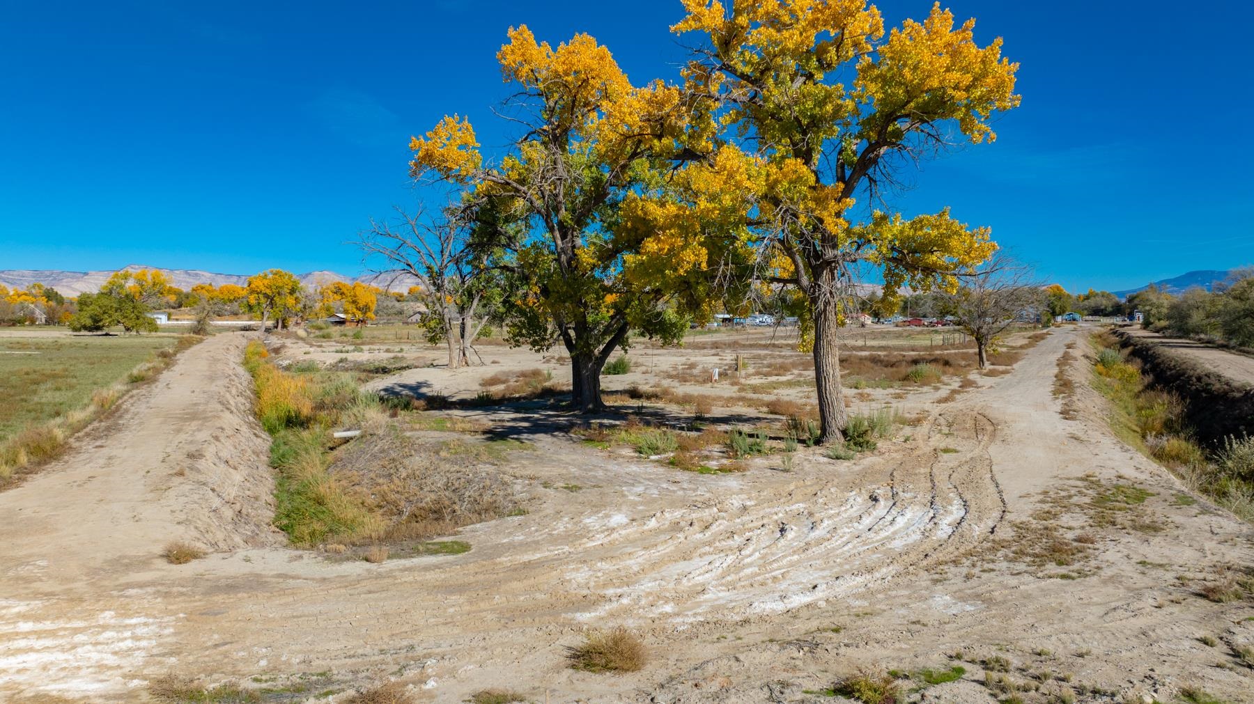 811 24 Road Grand Junction, CO 81505 - Photo 10 of 17 a view of a yard with wooden fence