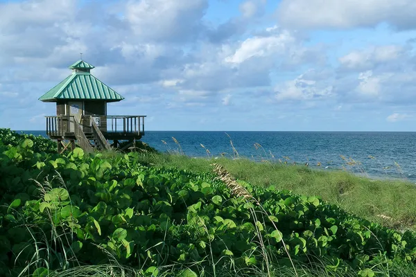 $6,800 | 550 Southeast Mizner Boulevard, Unit B706, Boca Raton, FL 33432