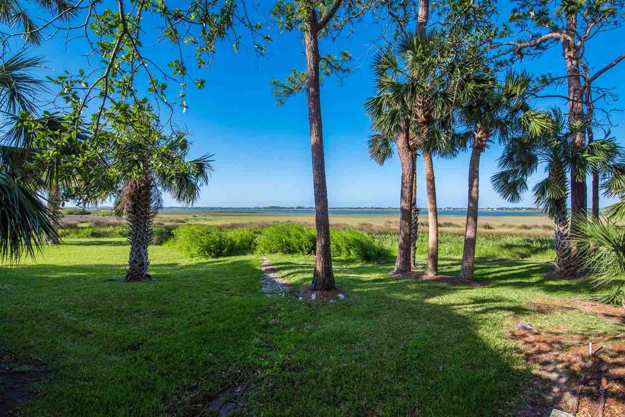 15 Catalonia Court St. Augustine, FL 32086 - Photo 20 of 27 a view of a garden with a tree