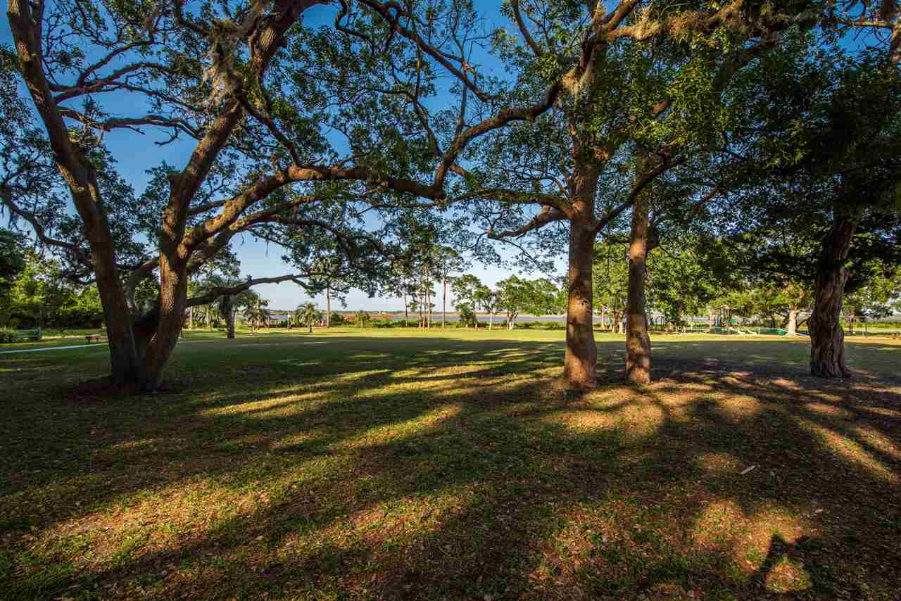 15 Catalonia Court St. Augustine, FL 32086 - Photo 26 of 27 a view of yard with trees