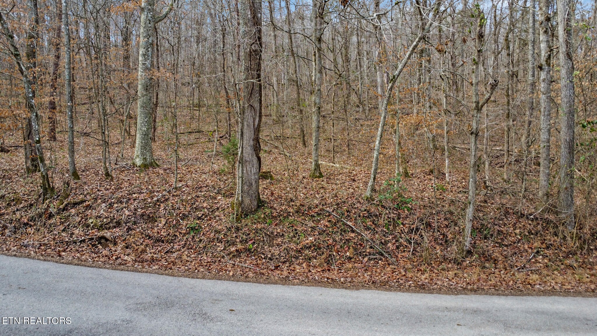 0 Shellotte Loop Pall Mall, TN 38577 - Photo 19 of 20 view of a wooden floor