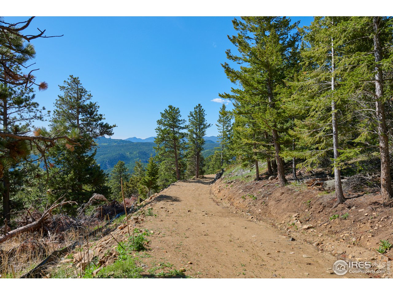 689 Sugarloaf Mountain Road Boulder, CO 80302 - Photo 15 of 31 Full driveway was engineered, designed, implemented & goes straight to the building site