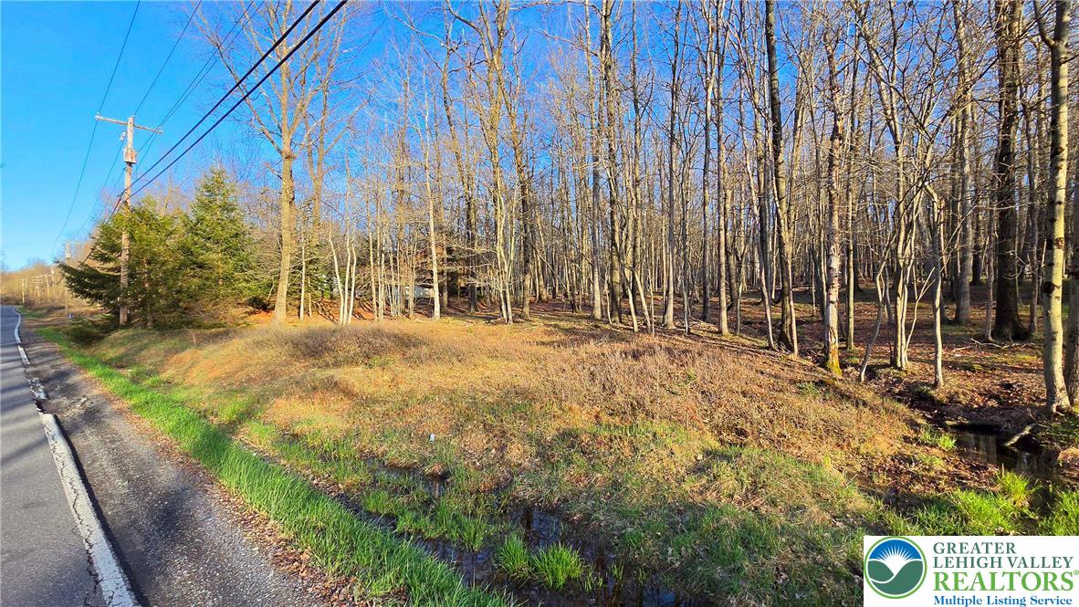Mountain Road Mehoopany, PA 18629 - Photo 3 of 5