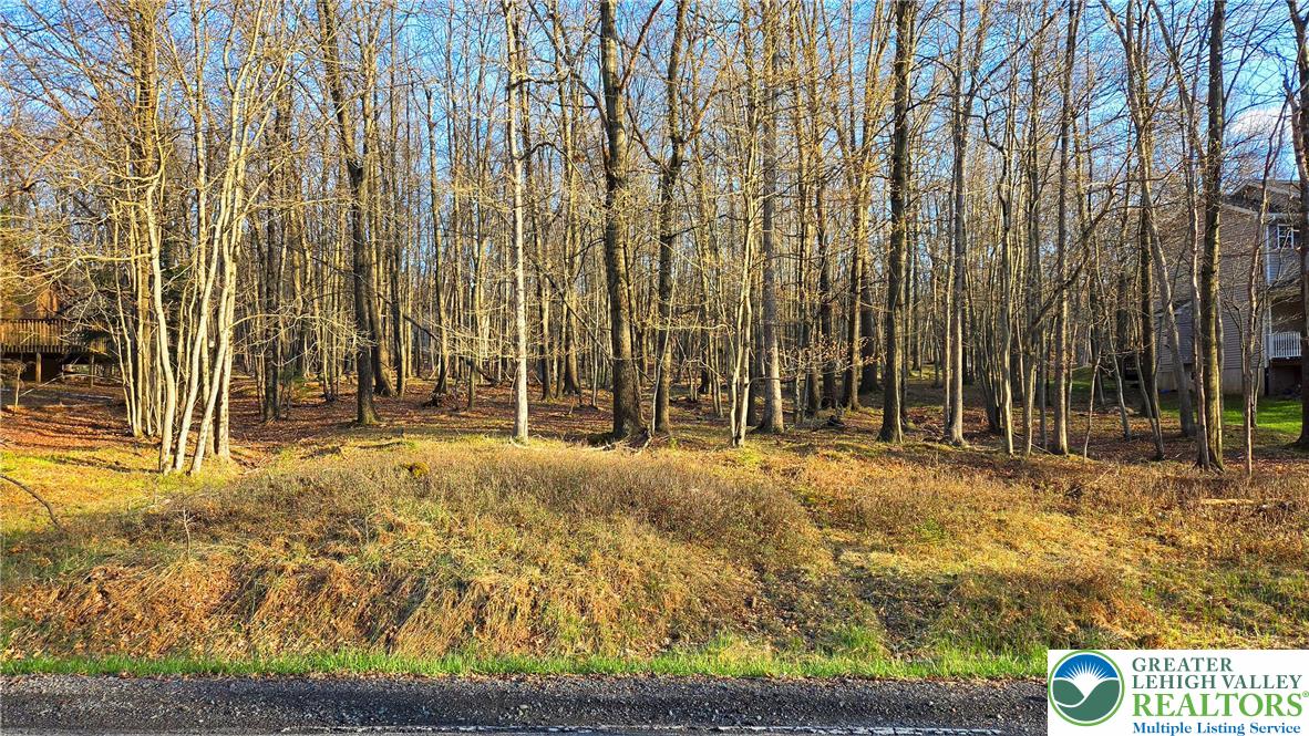 Mountain Road Mehoopany, PA 18629 - Photo 4 of 5