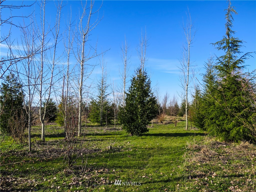 15503 Fir Island Road Mount Vernon, WA 98273 - Photo 25 of 25 Gallery Image 25