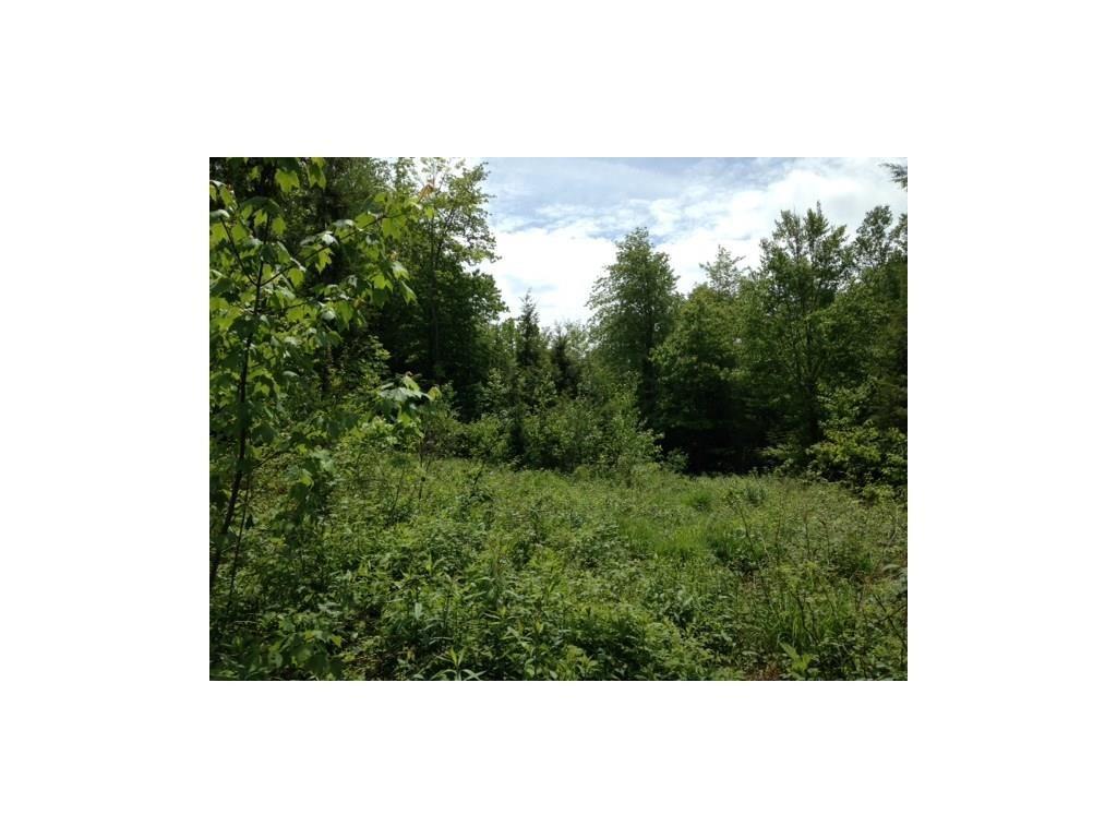 Lot 9 Old Stage Road Woolwich, ME 04579 - Photo 7 of 13 Photo