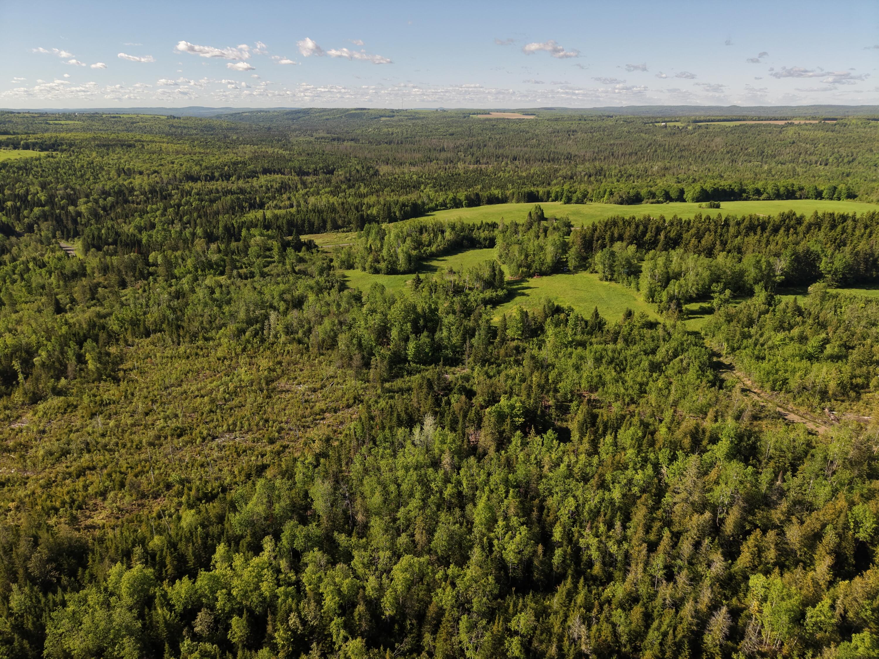 M5-l50d Rista Road New Sweden, ME 04762 - Photo 5 of 39