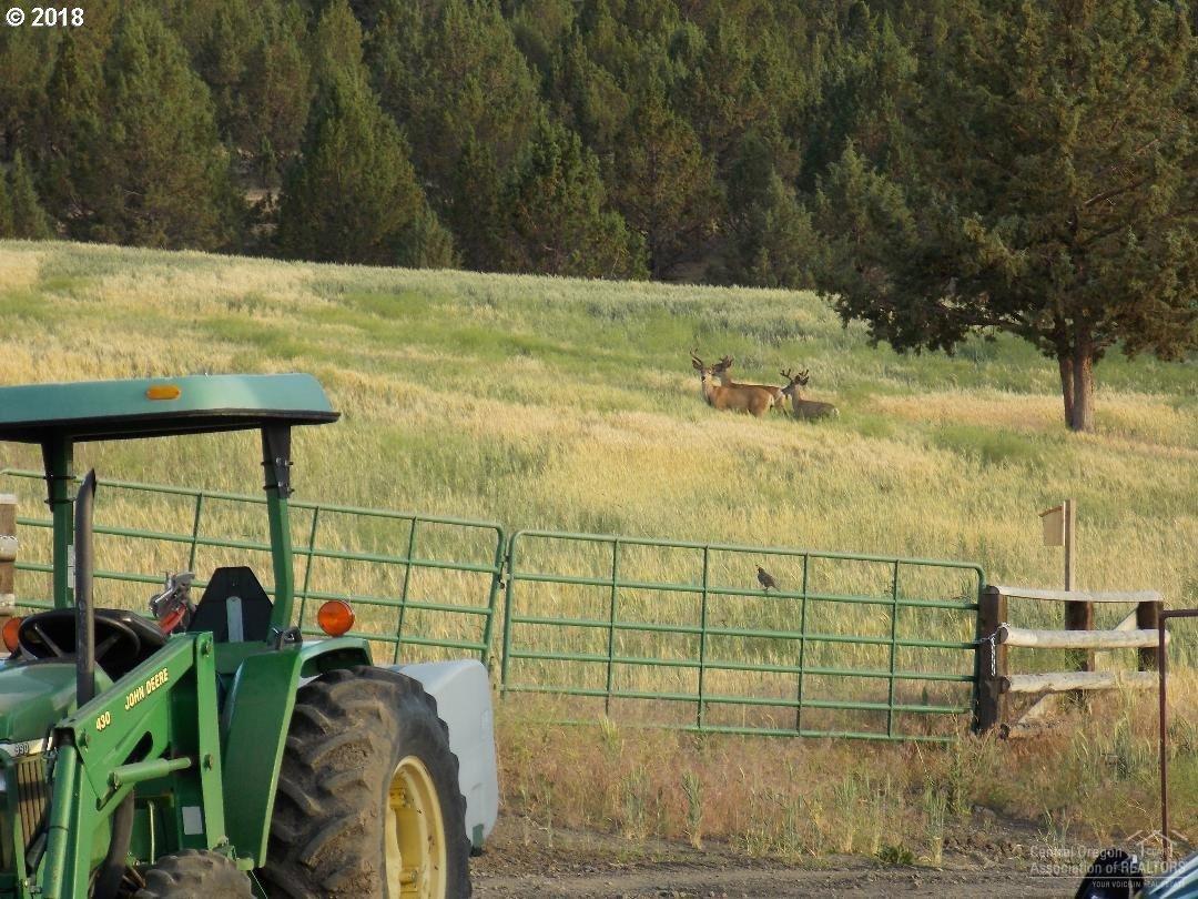 25988 Lay Cock Creek Road Mount Vernon, OR 97865 - Photo 6 of 24 Additional Photo