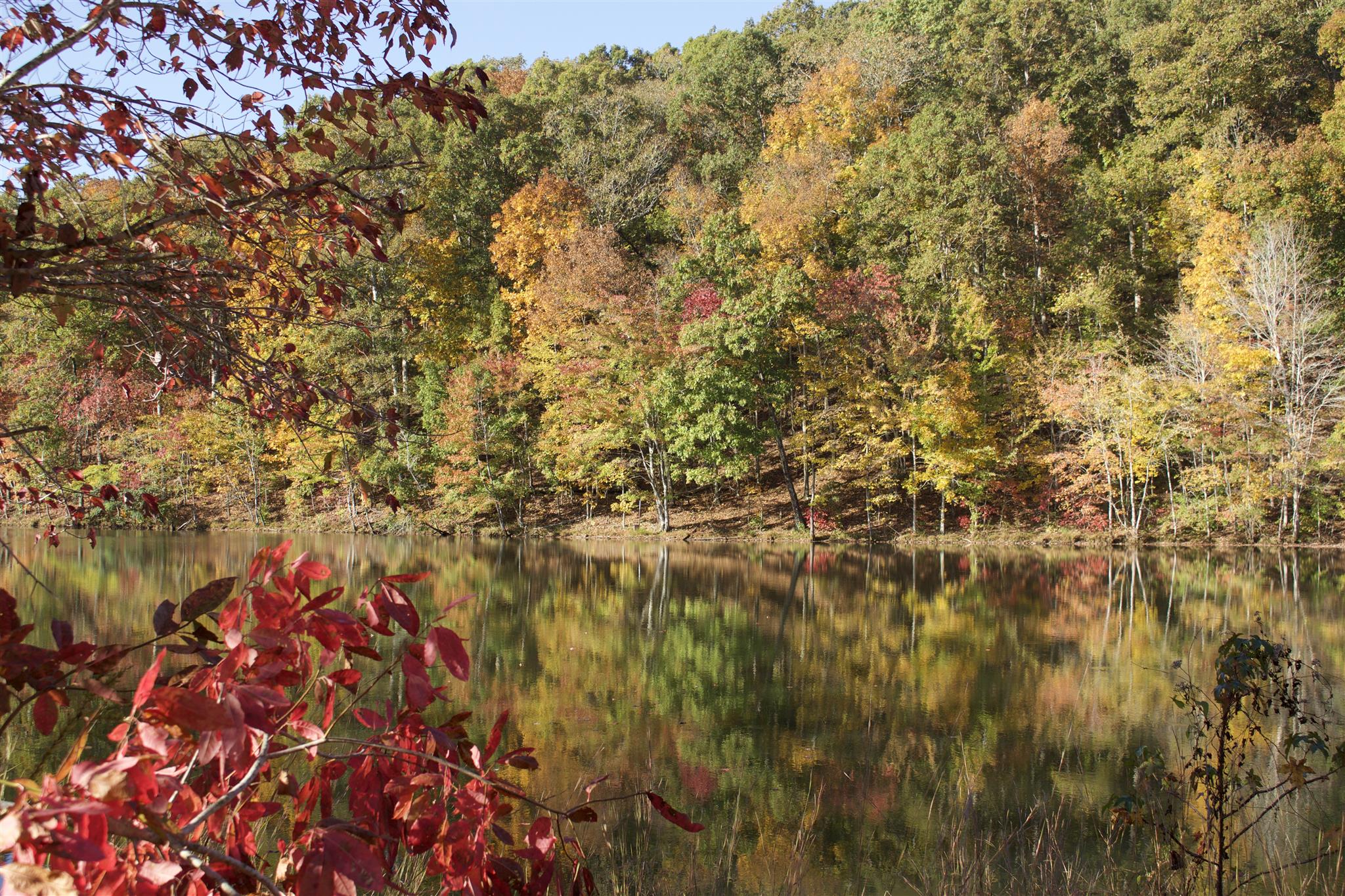 558 Ridgeway Drive Sugar Tree, TN 38380 - Photo 1 of 30 Bass Pond is in a quiet and serene setting in Ponderosa.