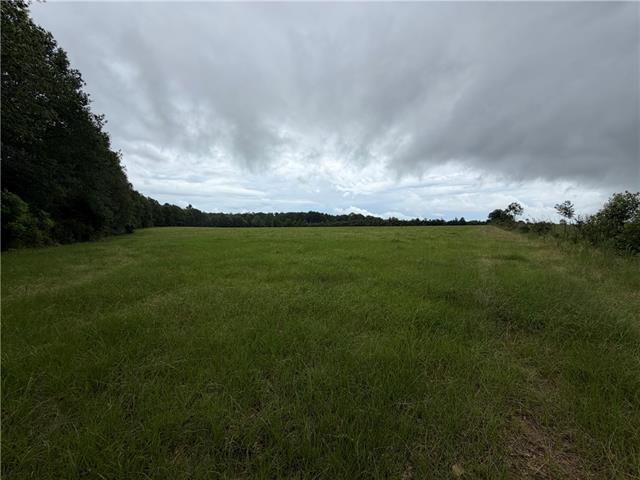 0 East Bell Road Amite, LA 70422 - Photo 7 of 8