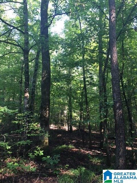 0 Berrington Lane Springville, AL 35146 - Photo 13 of 17