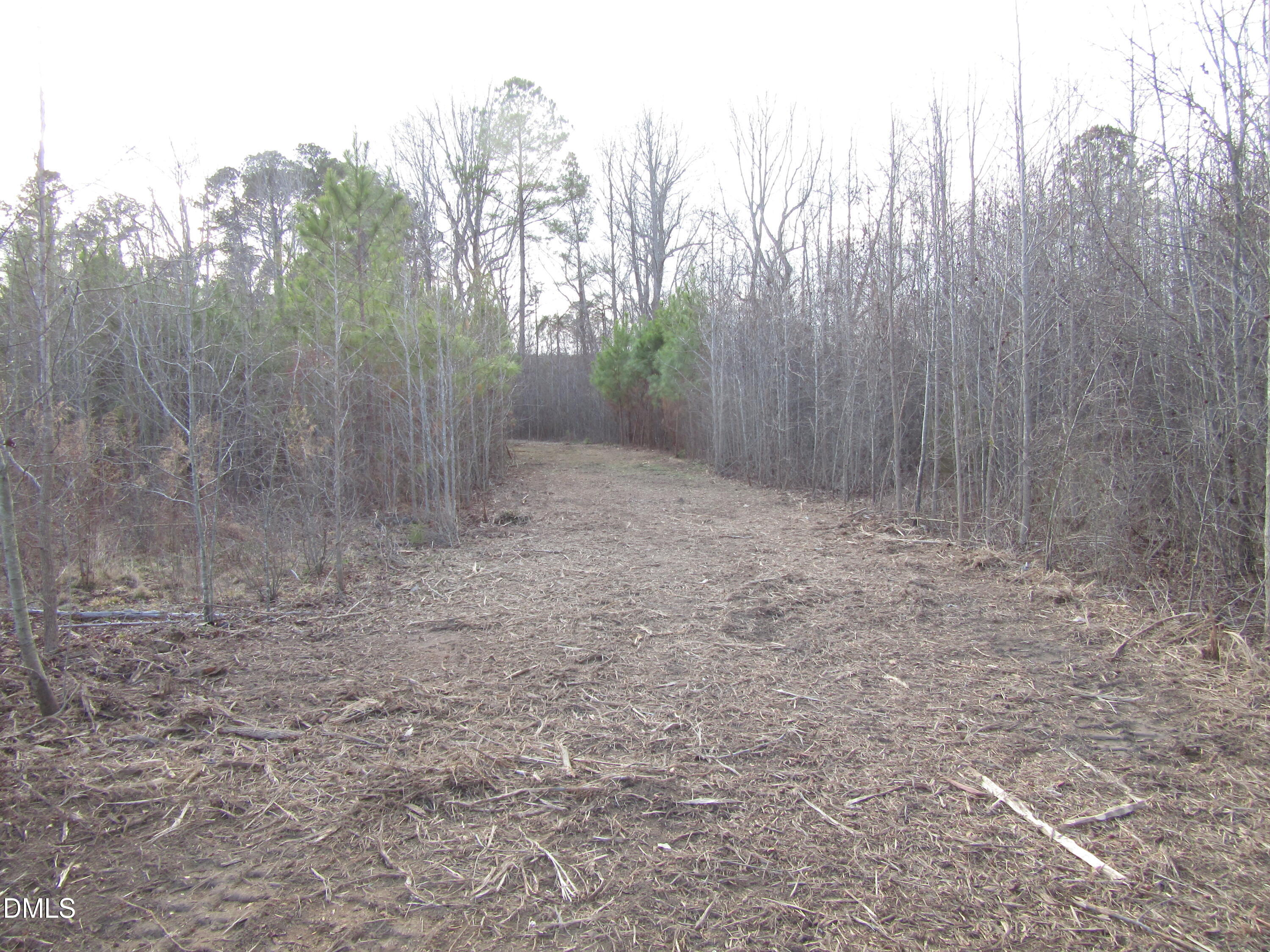 5.86-acres Pearces Road Zebulon, NC 27597 - Photo 6 of 9 IMG_1671