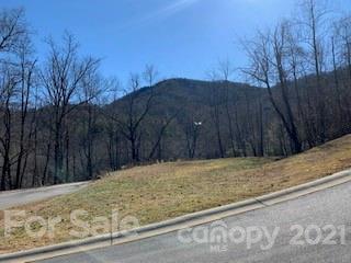 11 Old Greybeard Loop, Unit 3A1 Black Mountain, NC 28711 - Photo 6 of 15 a view of a backyard of the house