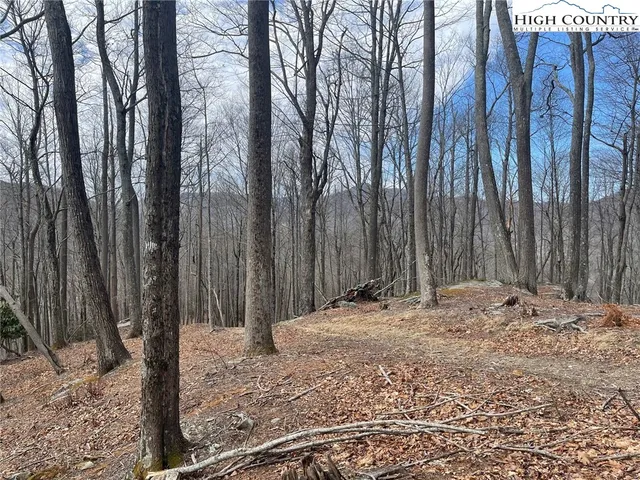 a backyard of a building with trees