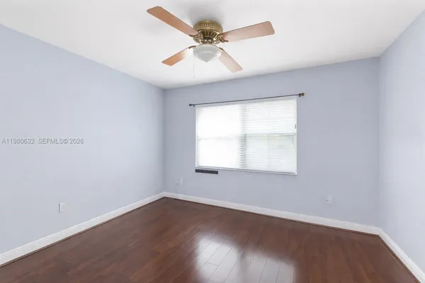 a view of a backyard with plants and palm tree
