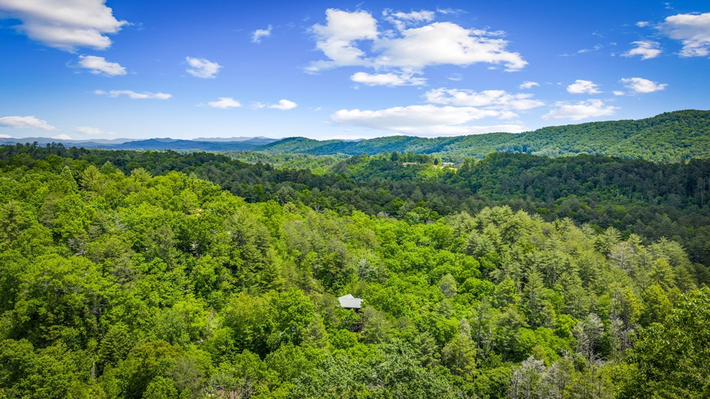 379 Dream Catcher Blue Ridge Blue Ridge, GA 30513 - Photo 25 of 28 a view of a bunch of trees